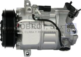 Compresor Original 51-RE86002 - COMP. ZEXEL DCS17EC P6 119MM. (RENAULT LAGUNA III)