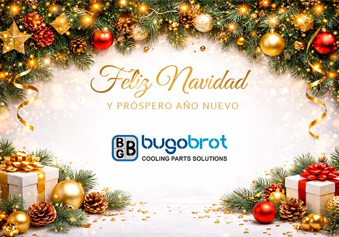 Festivos Navidad